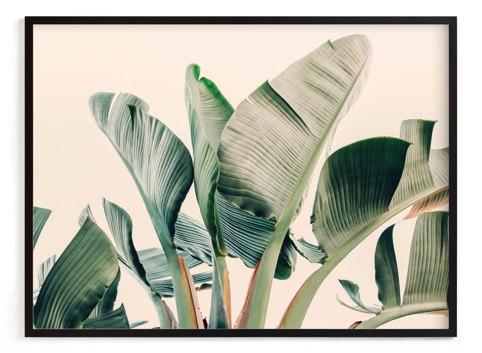 Bending To The Sun Limited Edition Fine Art Print 2 - Image 0