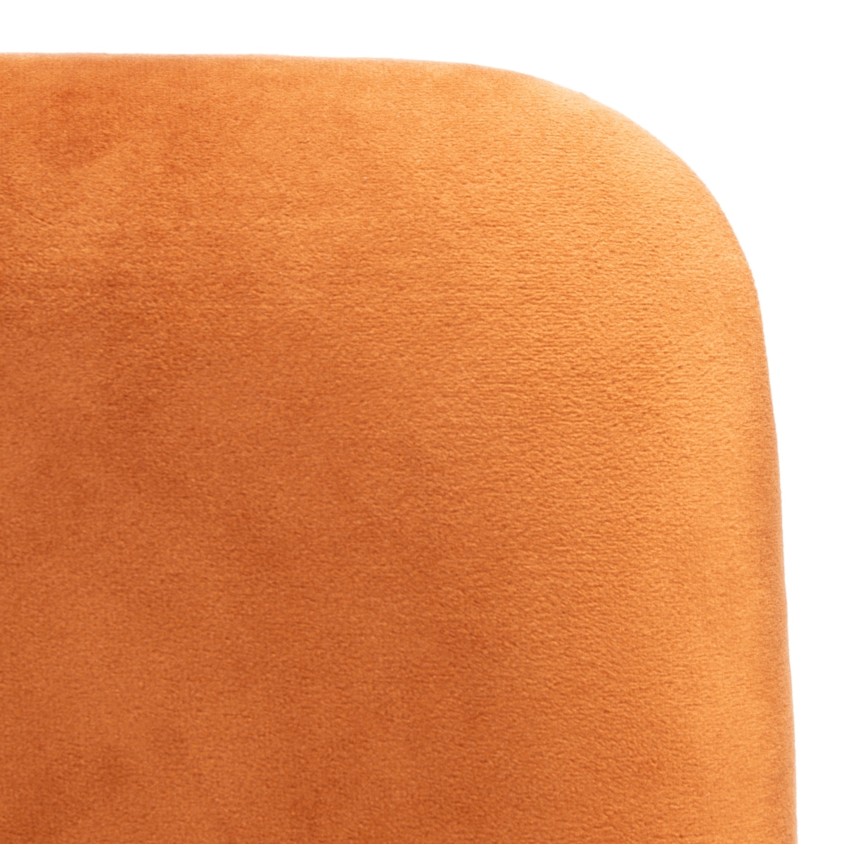 Chavelle Side Chair - Sienna / Black - Safavieh - Image 2