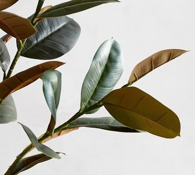 Faux Variegated Rubber Tree, Dark Green, Large - Image 1