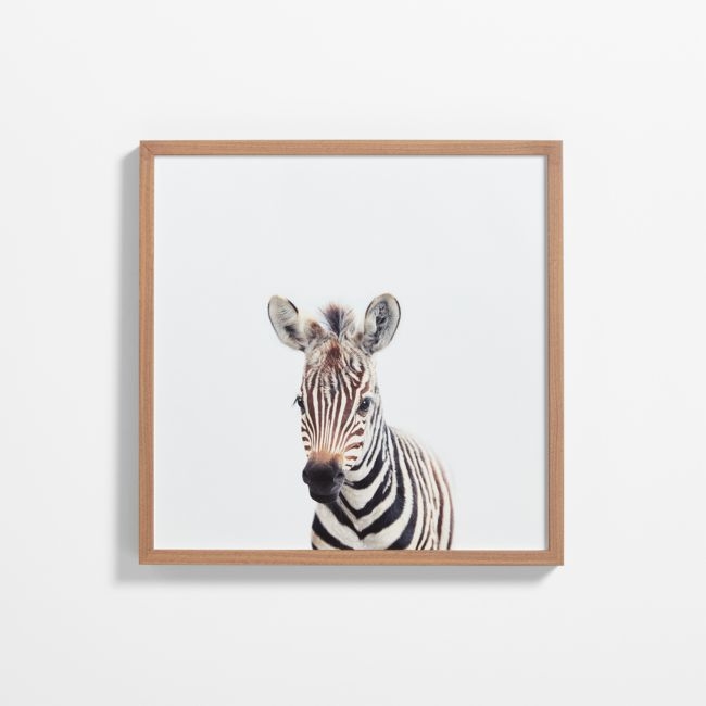 Baby Zebra Walnut Wood Framed Wall Art Print - Image 0