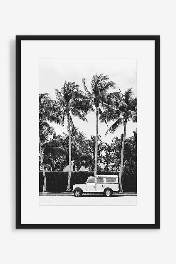 Palm Tree Nomad Wall Art - Image 0