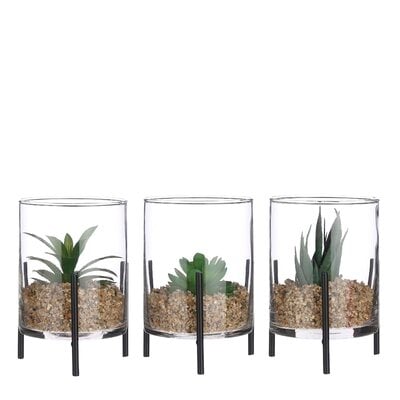 3 - Piece Artificial Succulent in Jar Set (Set of 3) - Image 0