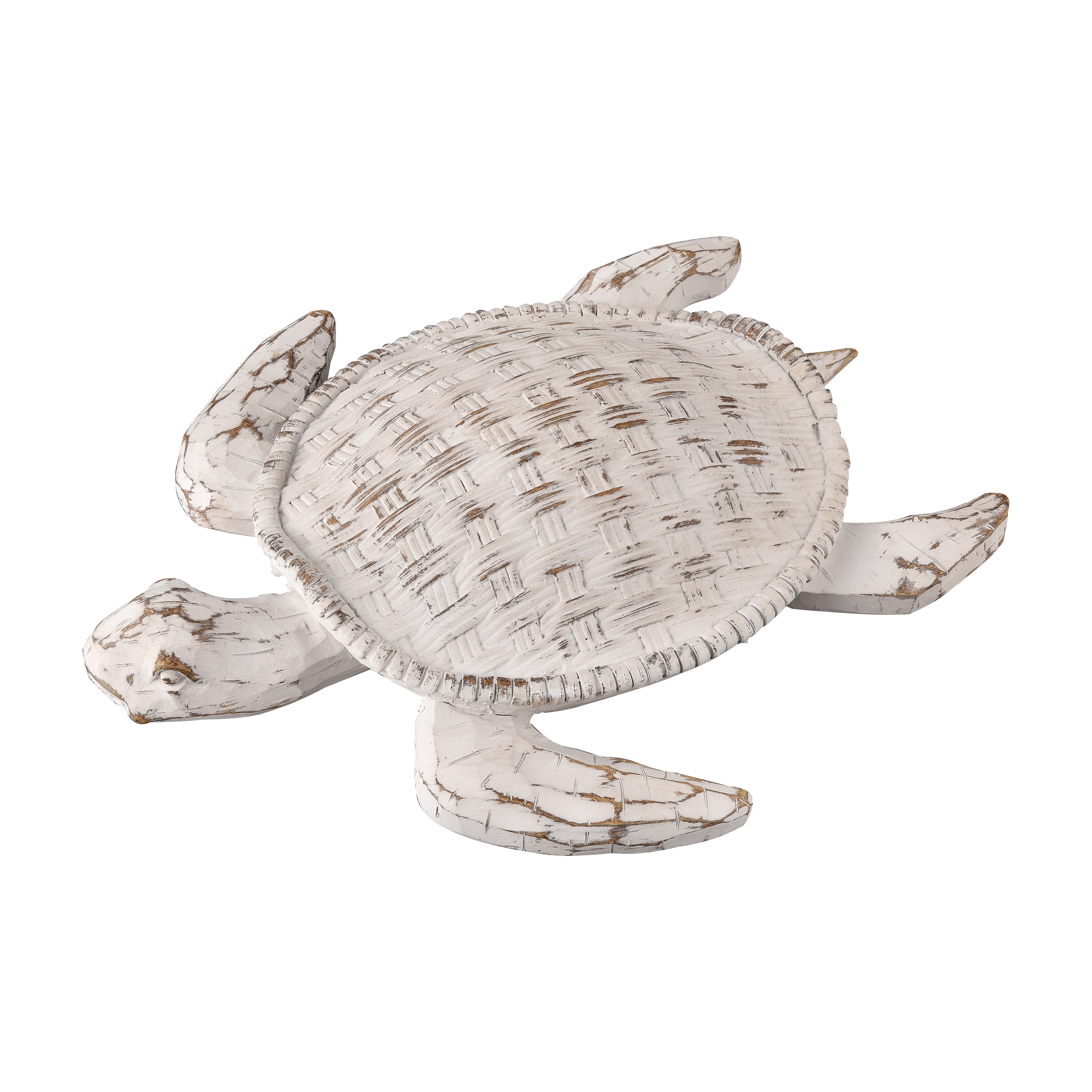 Aly Turtle - Whitewash - Image 1