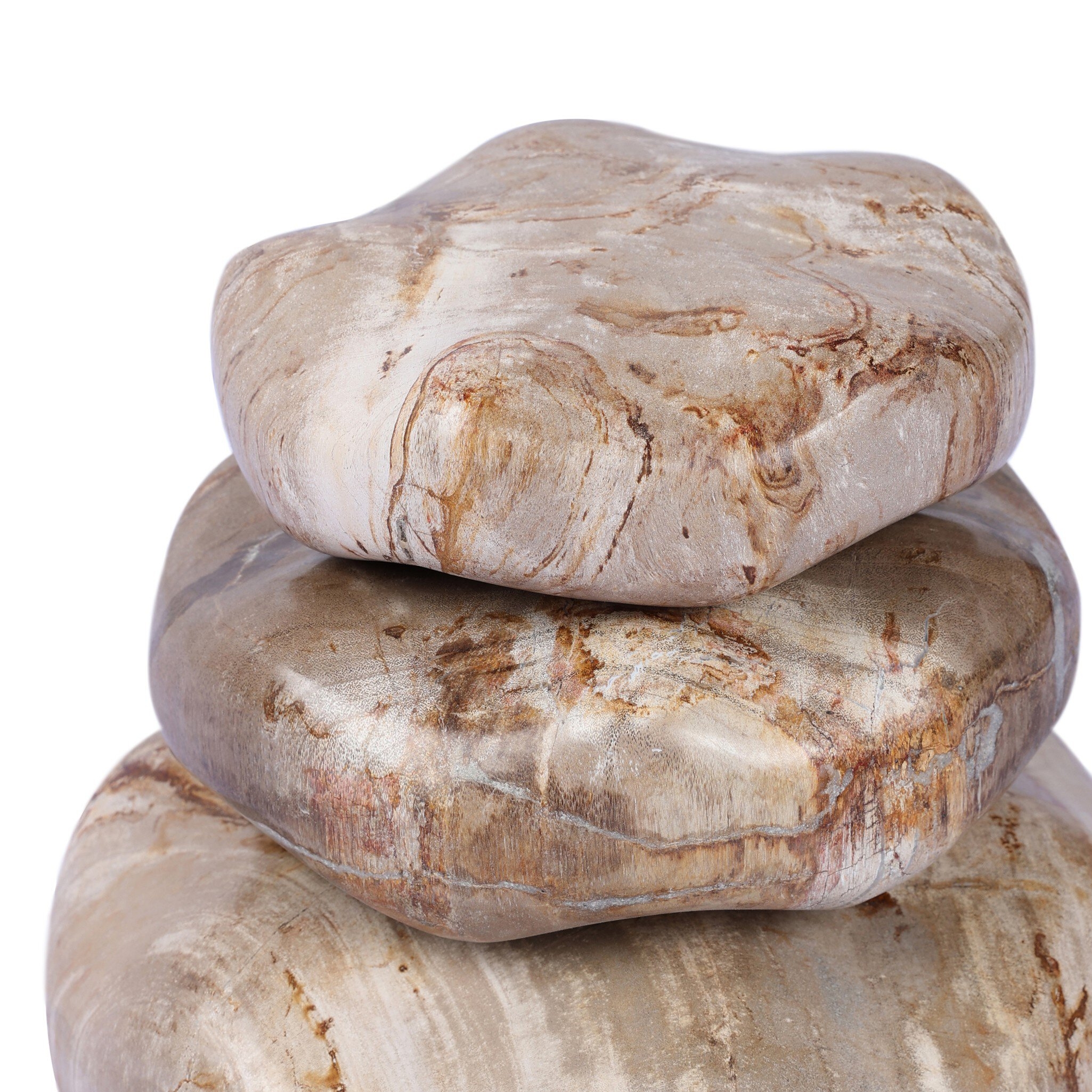 Petrified Wood Organic Sculpture, Set Of 3 - Light Petrified Wood - Image 1