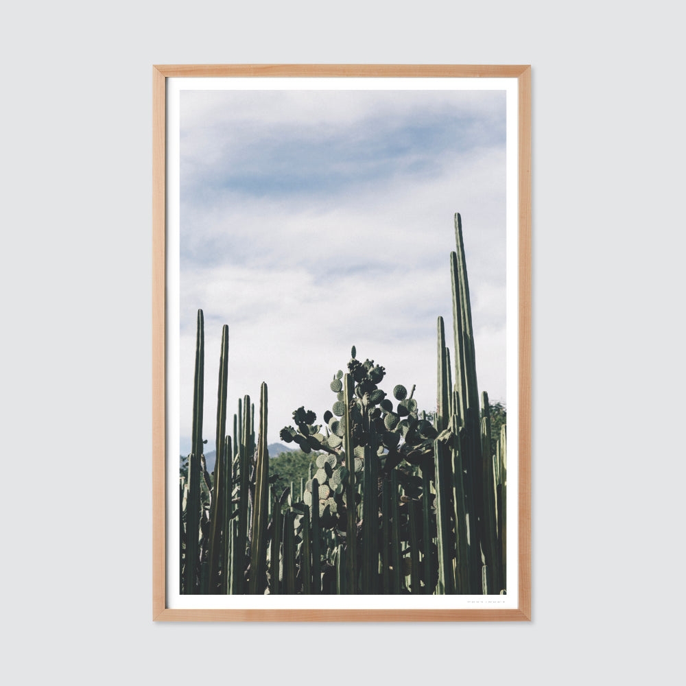 The Citizenry Oaxaca .03 Wall Art No Frame | 16" x 24" | Green - Image 4