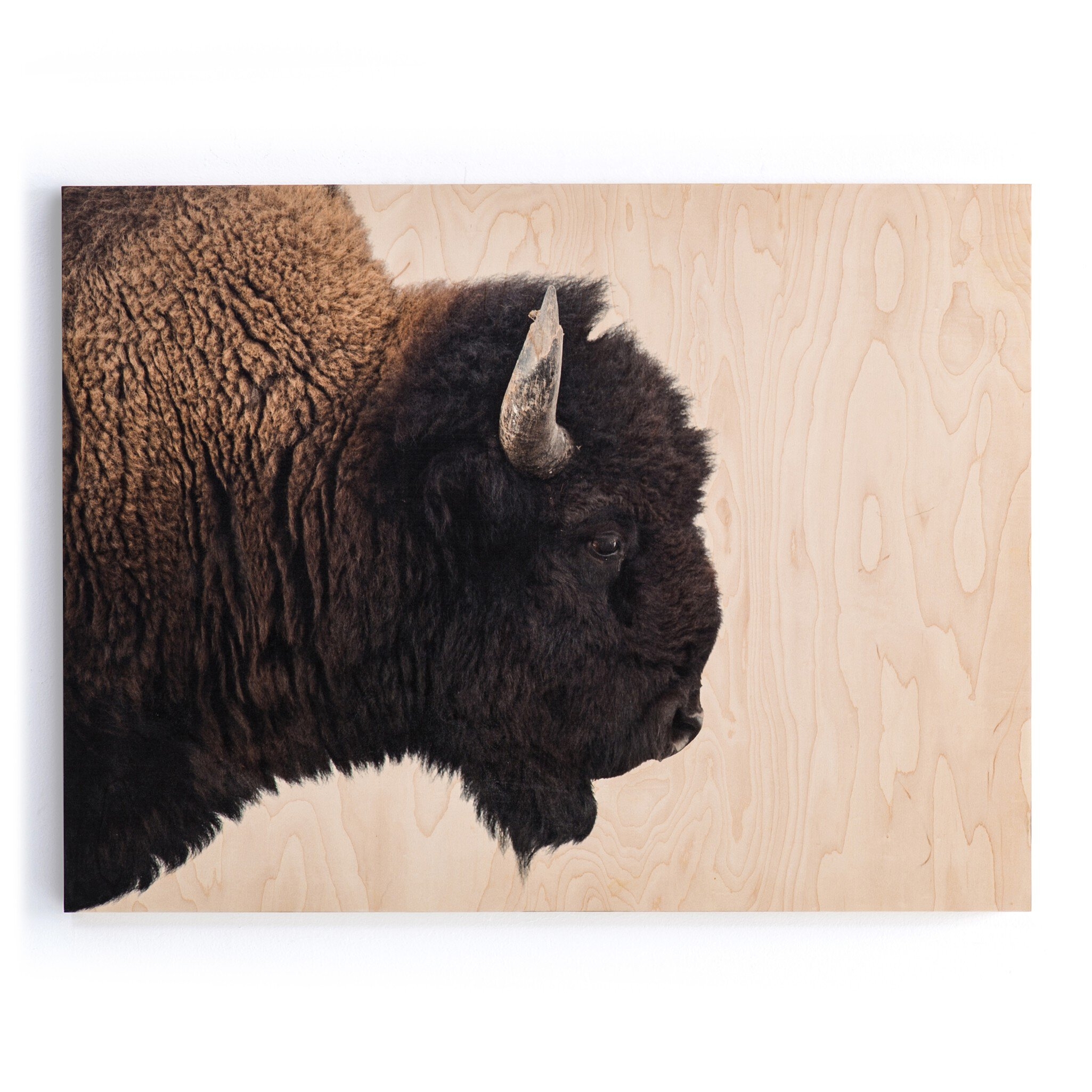 American Bison by Getty Images - Maple Box - Image 0