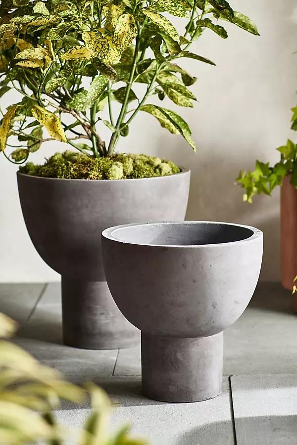 Footed Bowl Concrete Planter - Image 0