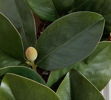 Faux Magnolia Collection, Green Multi - Wreath - Image 1