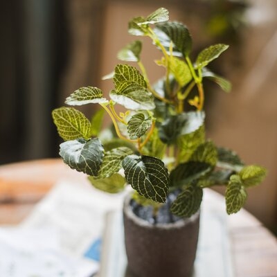 Artificial Planter Bonsai Plant - Image 0