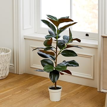 Faux Potted Rubber Tree, 39" - Image 0