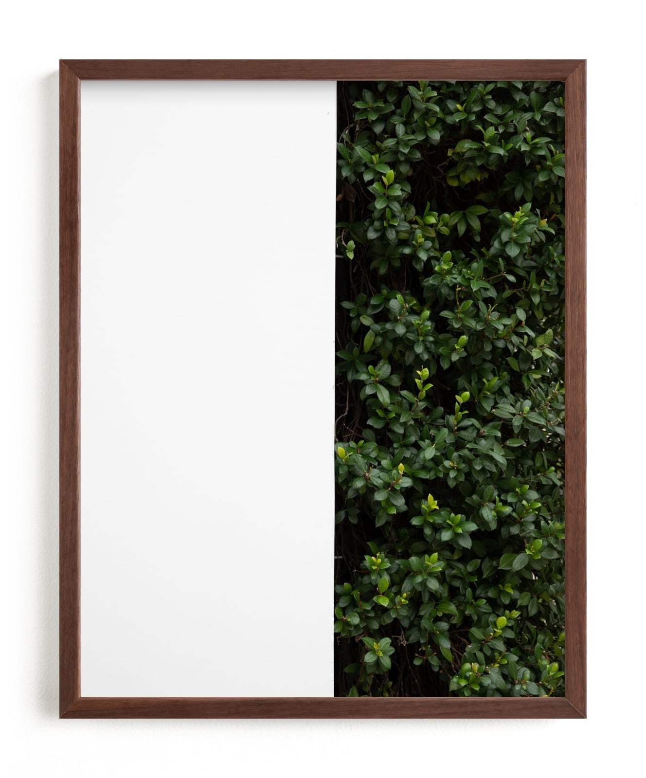 Verdant Garden III Limited Edition Fine Art Print 2 - Image 0