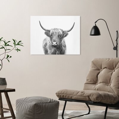 Sisi and Seb 'Highland Bull' Photograph on Canvas - Image 0