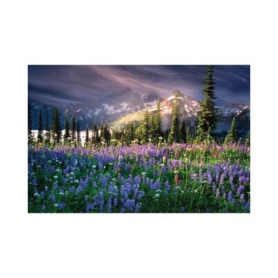 Mountain Wildflowers - Image 0