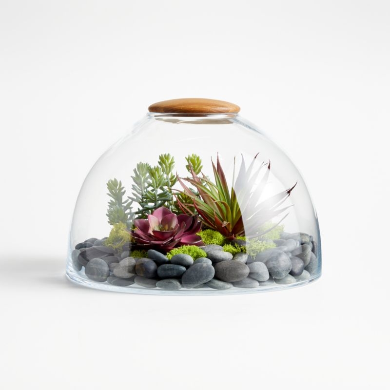 Small Glass Terrarium with Wood Lid - Image 1