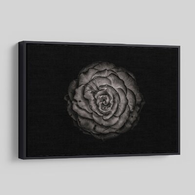 'Backyard Flowers In Black And White 85' - Photographic Print On Wrapped Canvas - Image 0