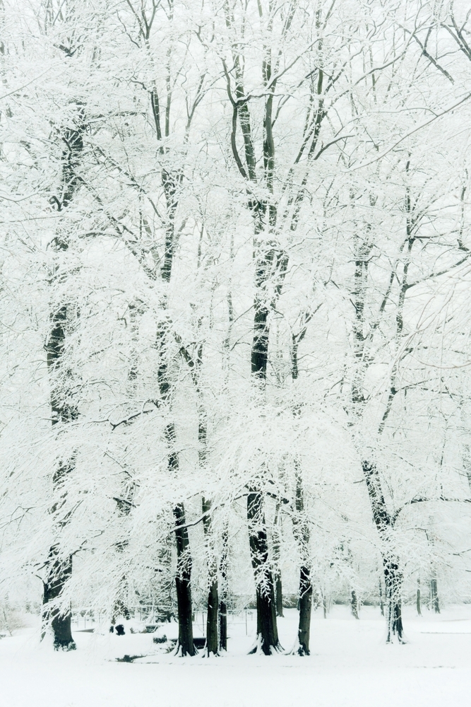 Frosted Framed Art Print by Dorit Fuhg - Scoop Black - Medium(Gallery) 18" x 24"-20x26 - Image 1