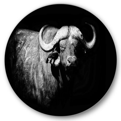 Monochrome Portrait Of Buffalo I - Farmhouse Metal Circle Wall Art - Image 0