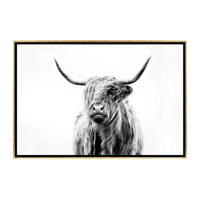 'Portrait of a Highland Cow' by Dorit Fuhg - Painting Print - Image 0
