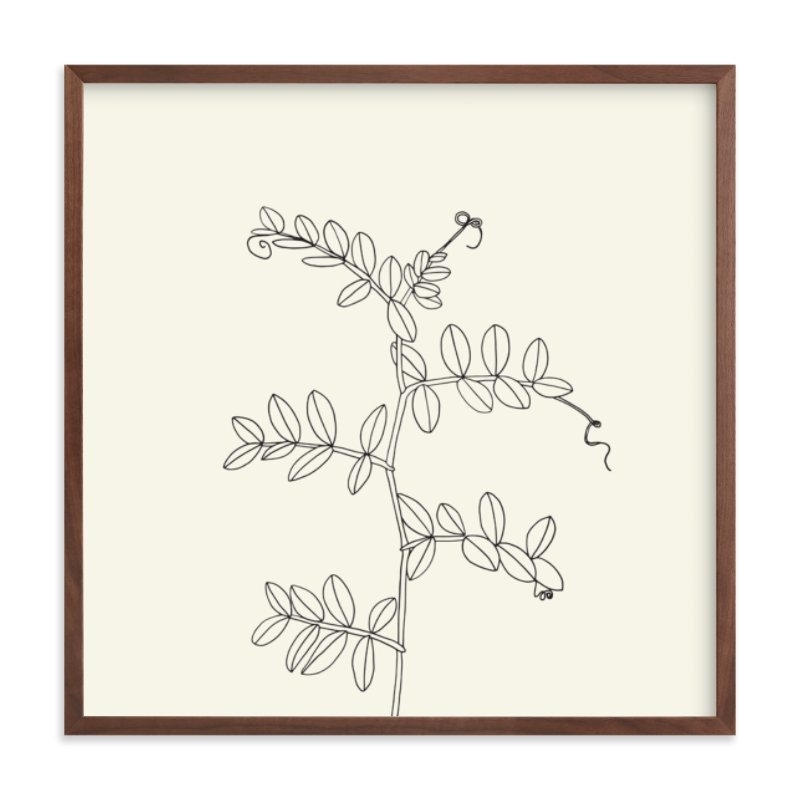 Wild Pea Limited Edition Fine Art Print 1 - Image 0