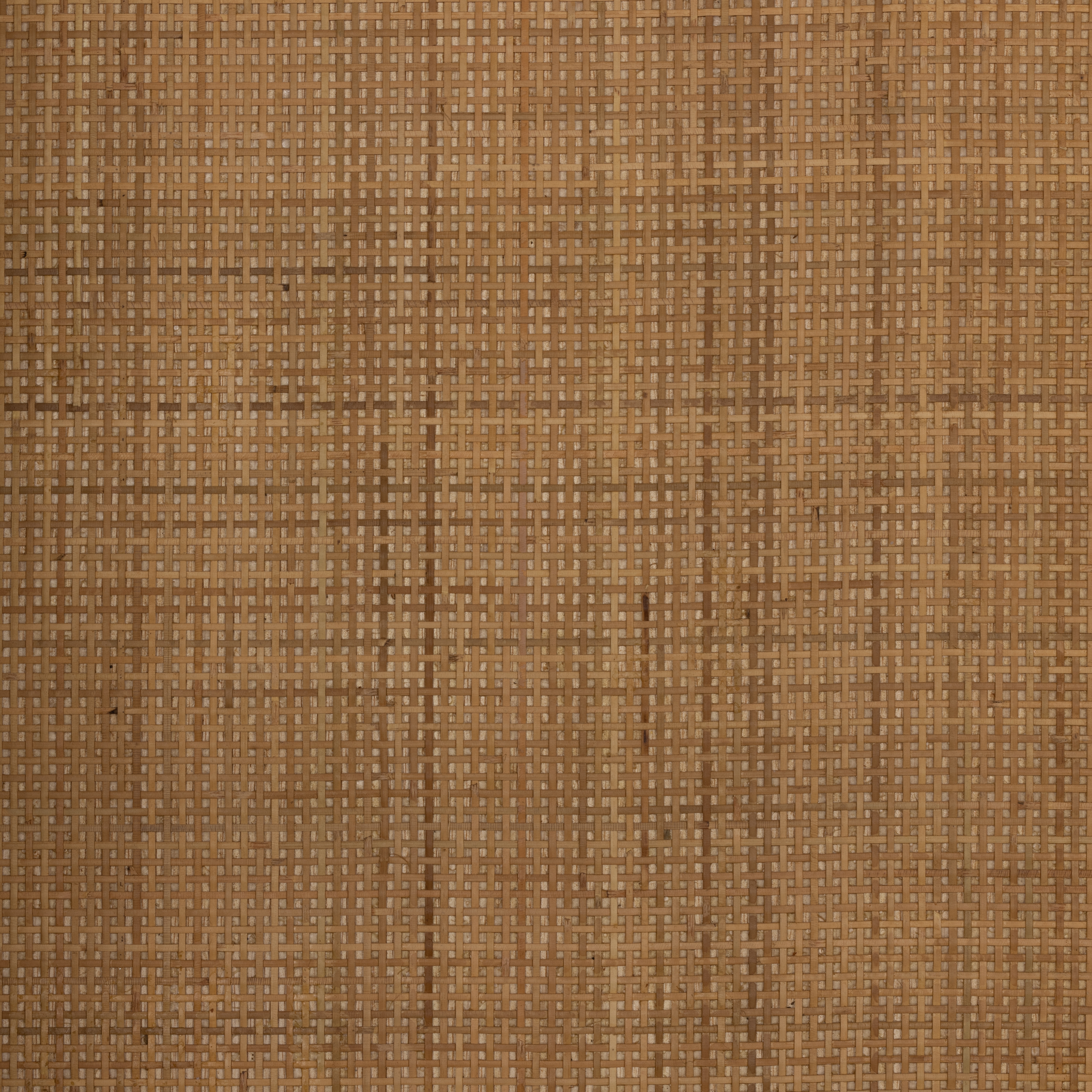 Ilana Cabinet-Burnis - Image 8