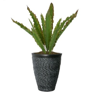 Vintage Home Artificial Faux Real Touch 3.79 Feet Tall Real Touch Agava With Fiberstone Planter - Image 0