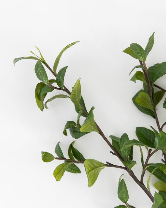 Faux Gardenia Leaf Branch - Image 2