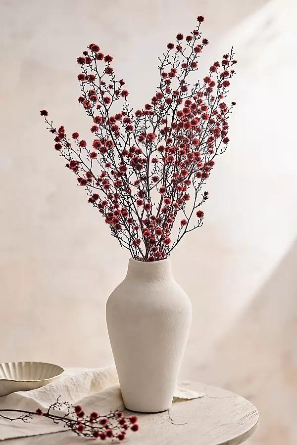 Preserved Stirlingia Bunch - Image 0