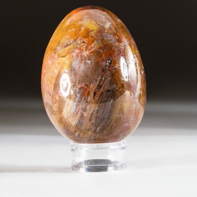 Petrified Wood Egg - Image 0