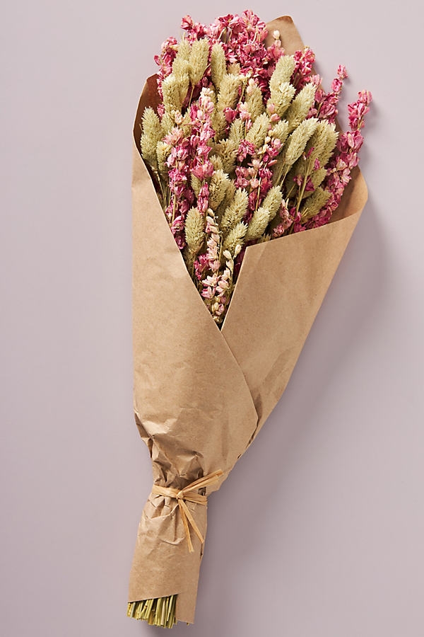 Dried Valentina Bouquet By Anthropologie in Pink - Image 0