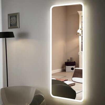 Hans & Alice Large Full Length Floor Mirror, Free Standing LED Mirror With Light For Bedroom (65"X22") in , 65" H x 22" W - Image 0