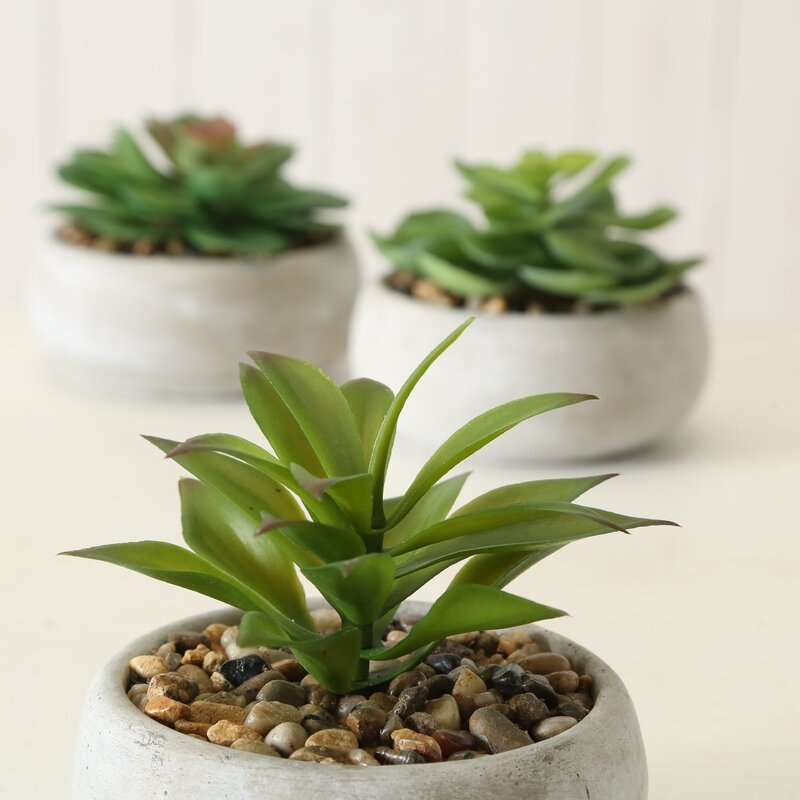 Faux Succulents in Stone Pots, Set of 3 - Image 1