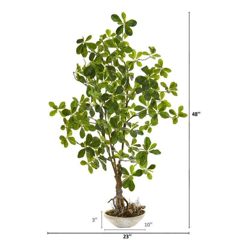 Faux Schefflera Bonsai Tree in Pot - Image 1