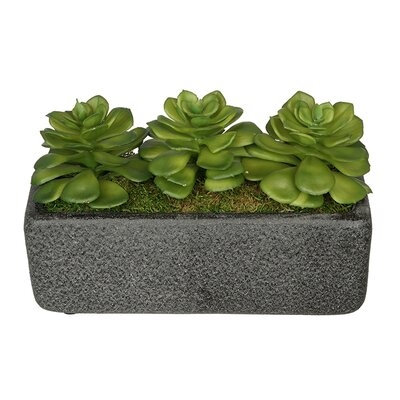 Artificial Green Echeveria Plant in Decorative Vase - Image 0