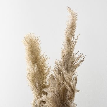 Pampas Grass Stem, Ivory, Set of 3 - Image 2