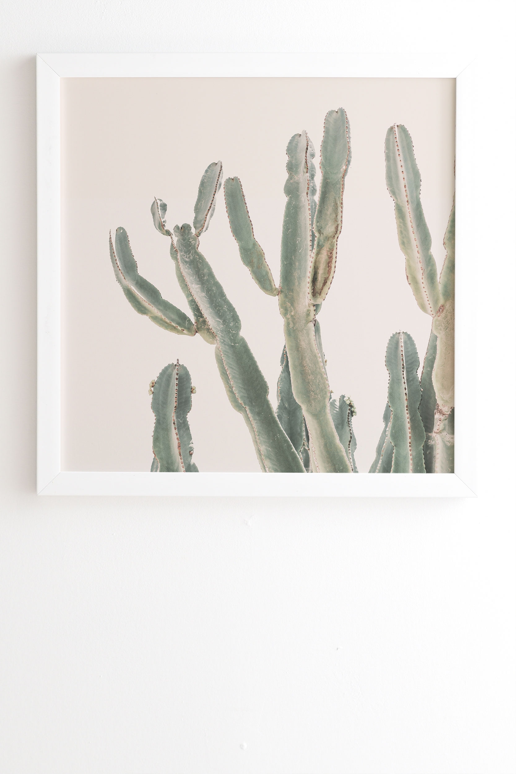 Sunrise Cactus by Sisi and Seb - Framed Wall Art Basic White 20" x 20" - Image 0