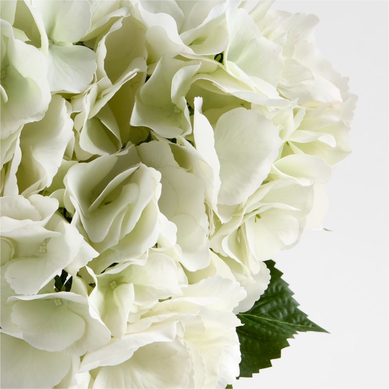 Combe Faux Floral Bundle by Abigail Ahern - Image 1