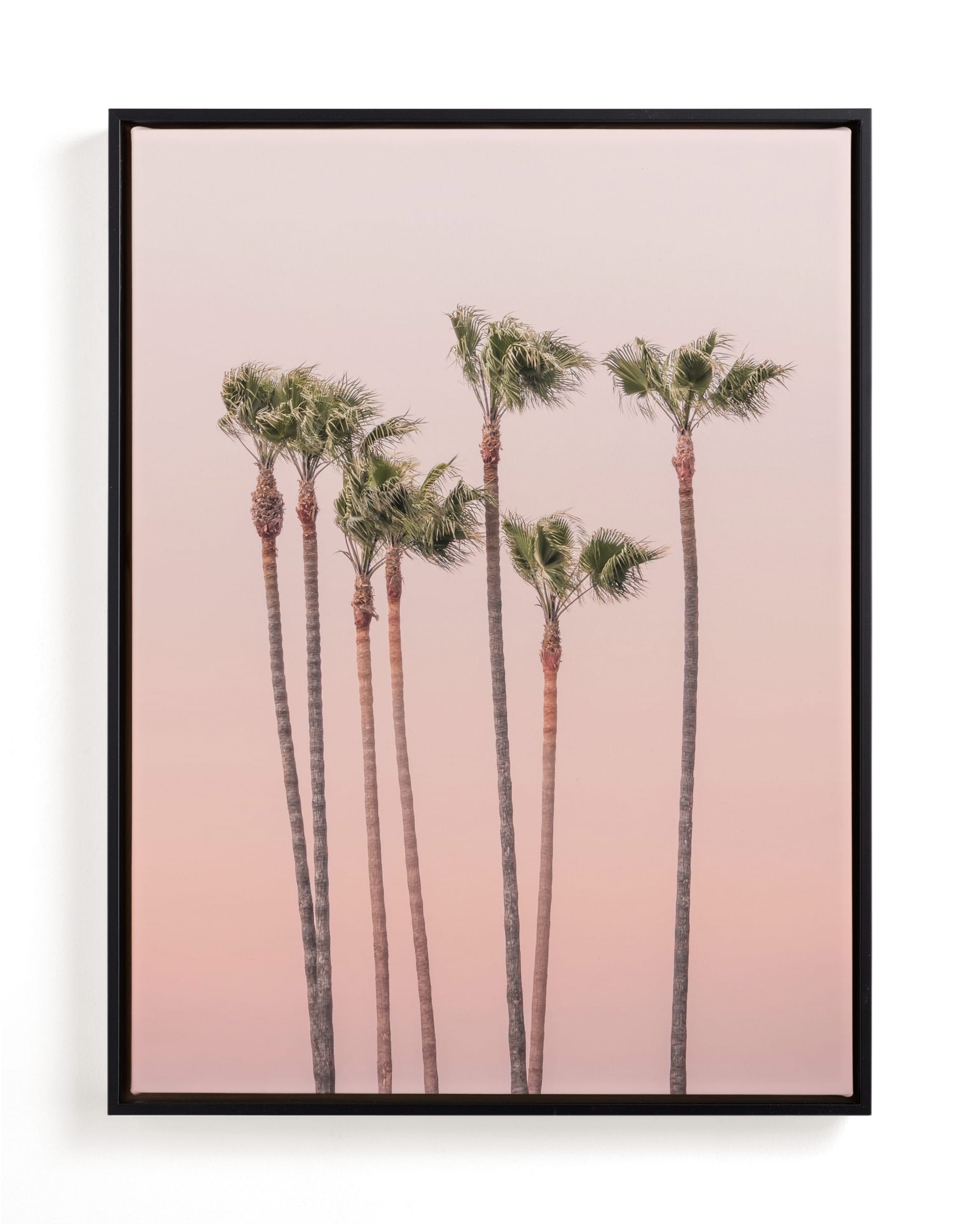 Seven Palmtrees Open Edition Fine Art Print - Image 0