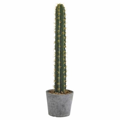 32" Cactus Plant in Planter - Image 0