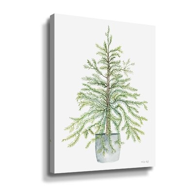 Pine Tree In Pot Gallery Wrapped - Image 0