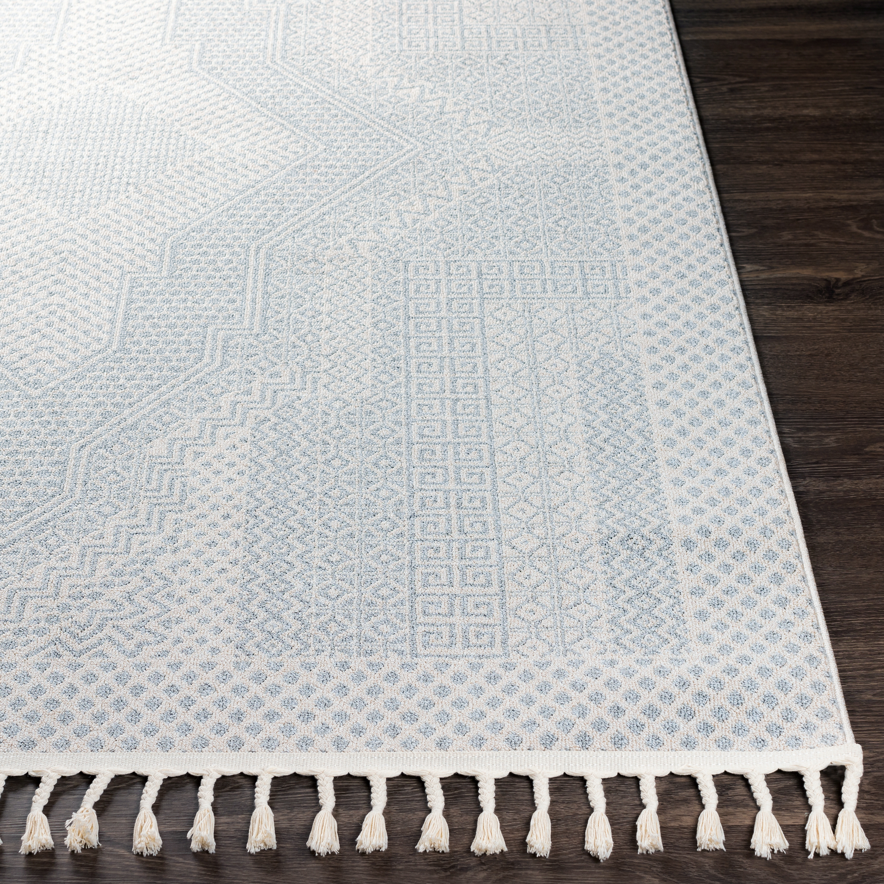 Euphoria Gray Indoor 2' x 3' Machine Woven Rug - Image 2