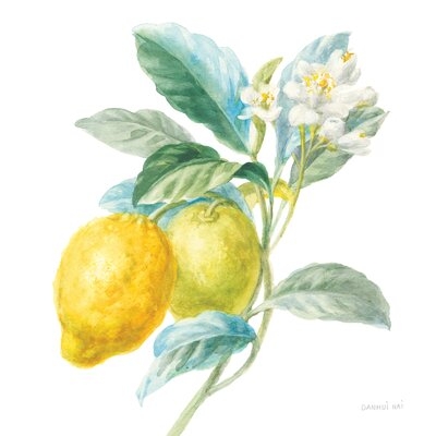 Floursack Lemon II by Danhui Nai - Painting on Canvas - Image 0