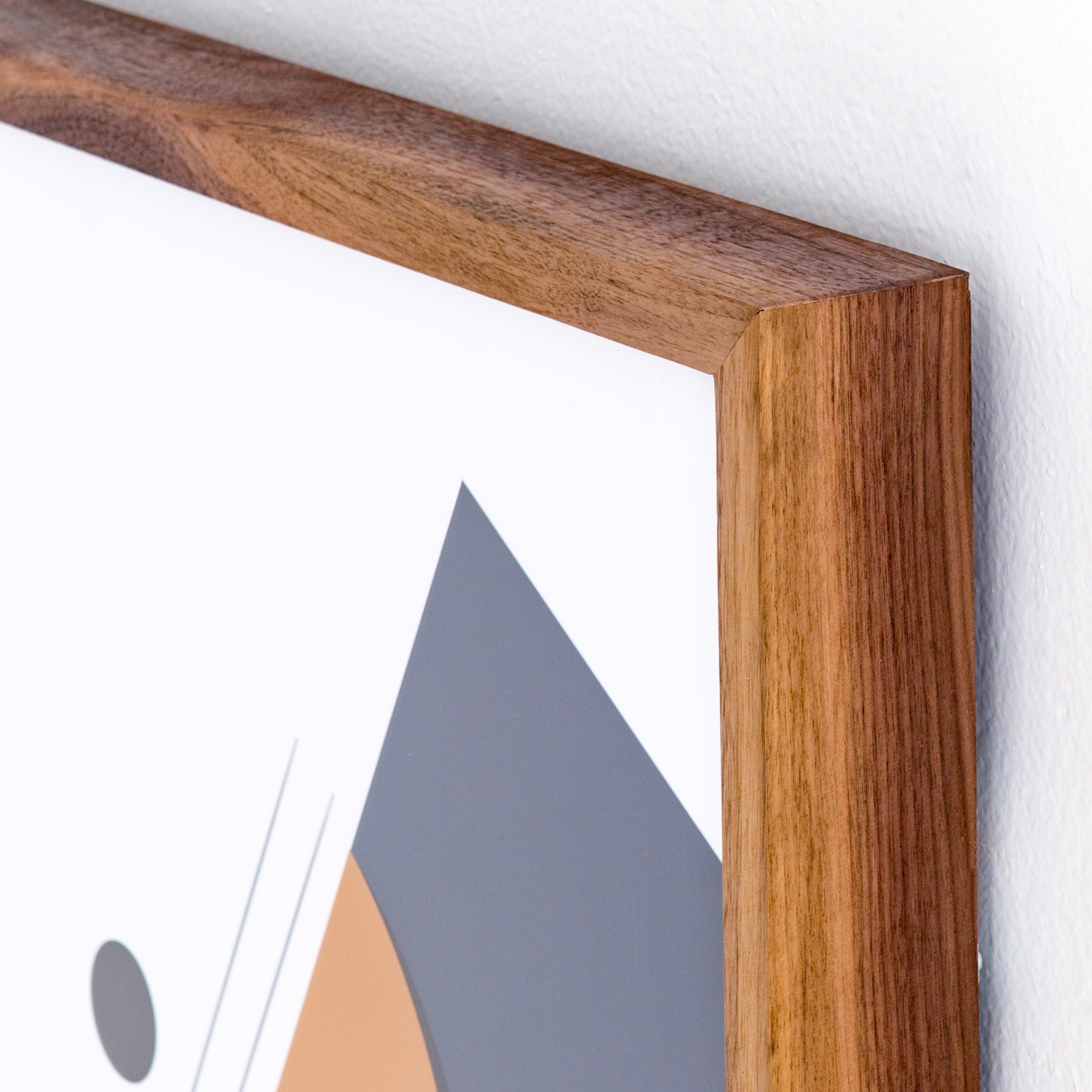 Natural Curiosities by Jess Engle, Singles - Black - Image 2