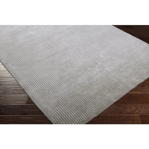 Luminous Gray Indoor 4' x 6' Handmade Rug - Image 1