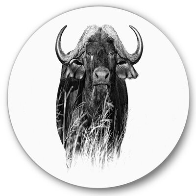 Monochrome Portrait Of Buffalo IV - Farmhouse Metal Circle Wall Art - Image 0