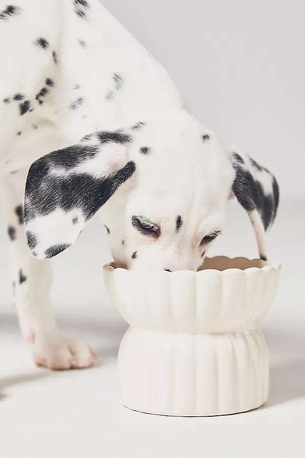 White Raised Pet Feeder - Image 0