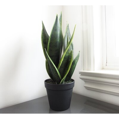 11.5'' Artificial Snake Plant in Pot - Image 0