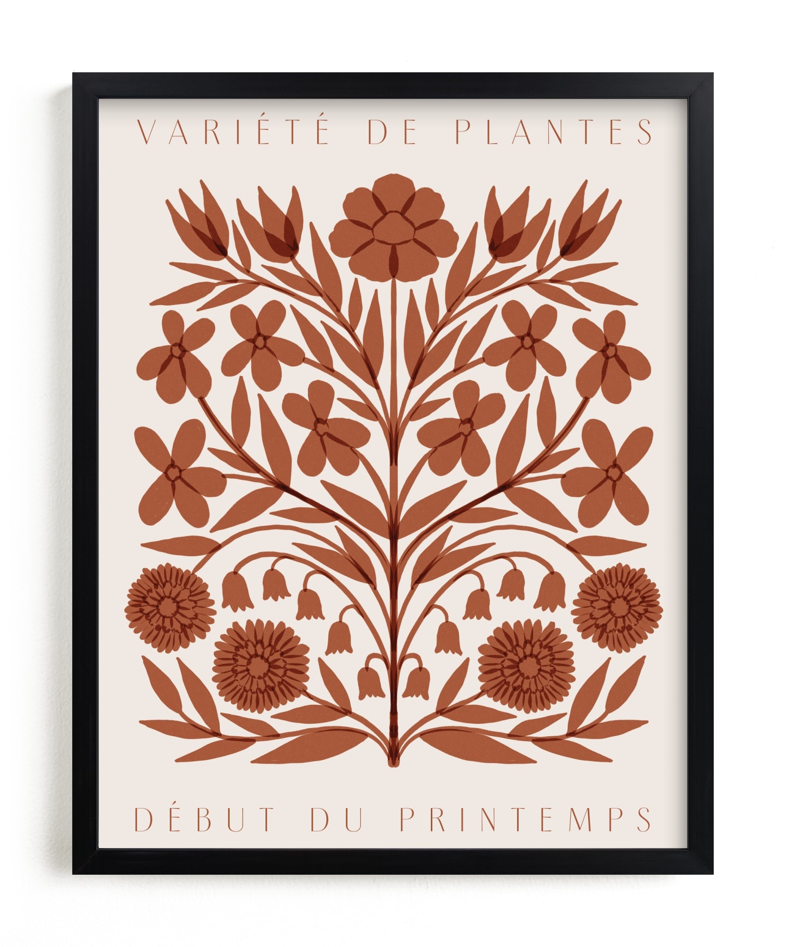 Les Plantes I Open Edition Fine Art Print - Image 0