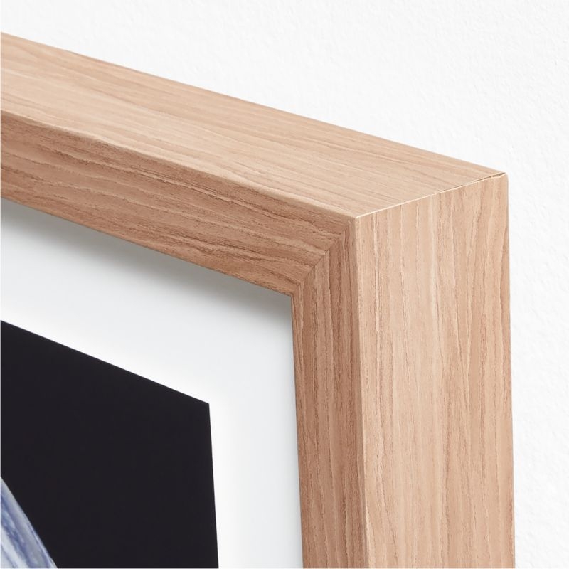 Smithsonian Earth Framed Wall Art Print - Image 2