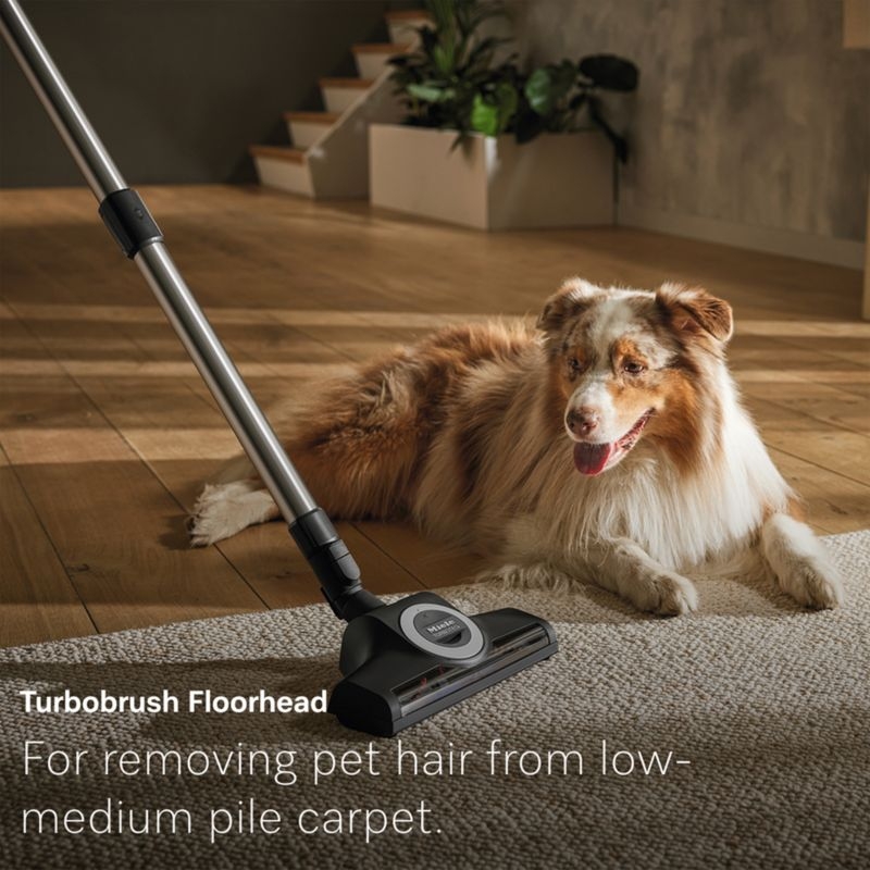Miele ® Guard L1 Cat & Dog Canister Vacuum - Image 3