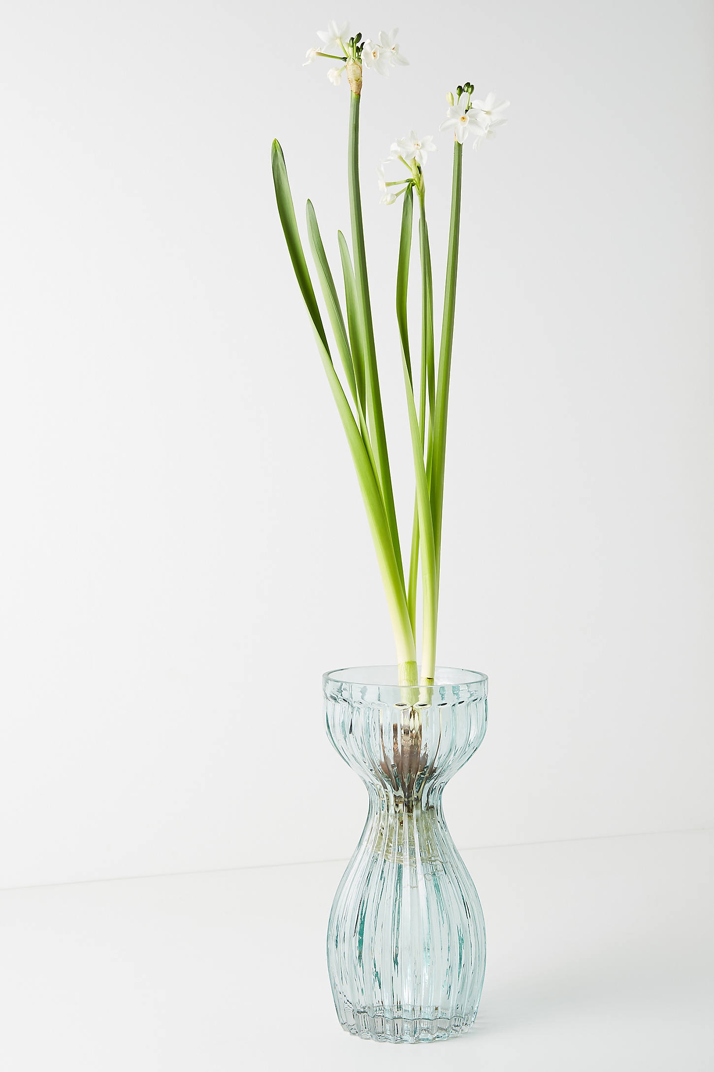 Sabella Vase - Image 0